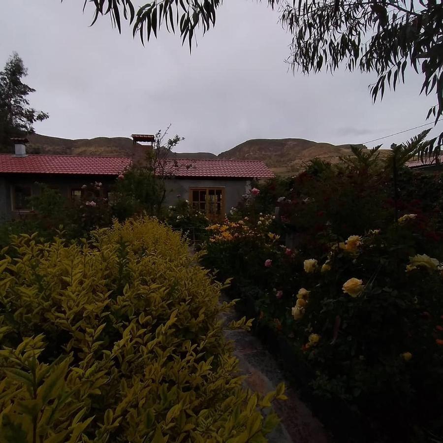 Hostal Vientos Del Altiplano プトレ エクステリア 写真