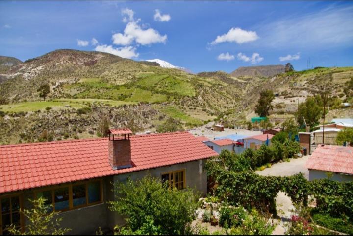 Hostal Vientos Del Altiplano プトレ エクステリア 写真