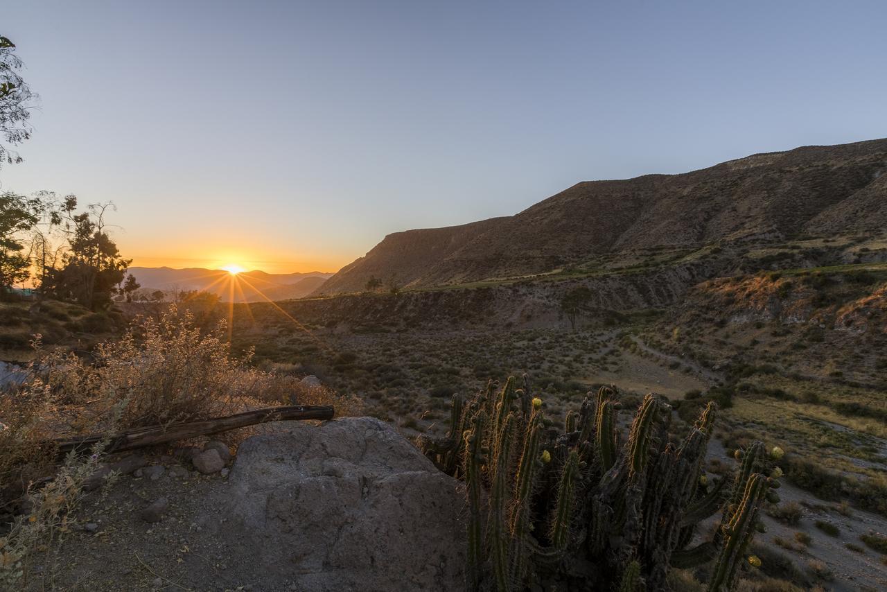 Hostal Vientos Del Altiplano プトレ エクステリア 写真