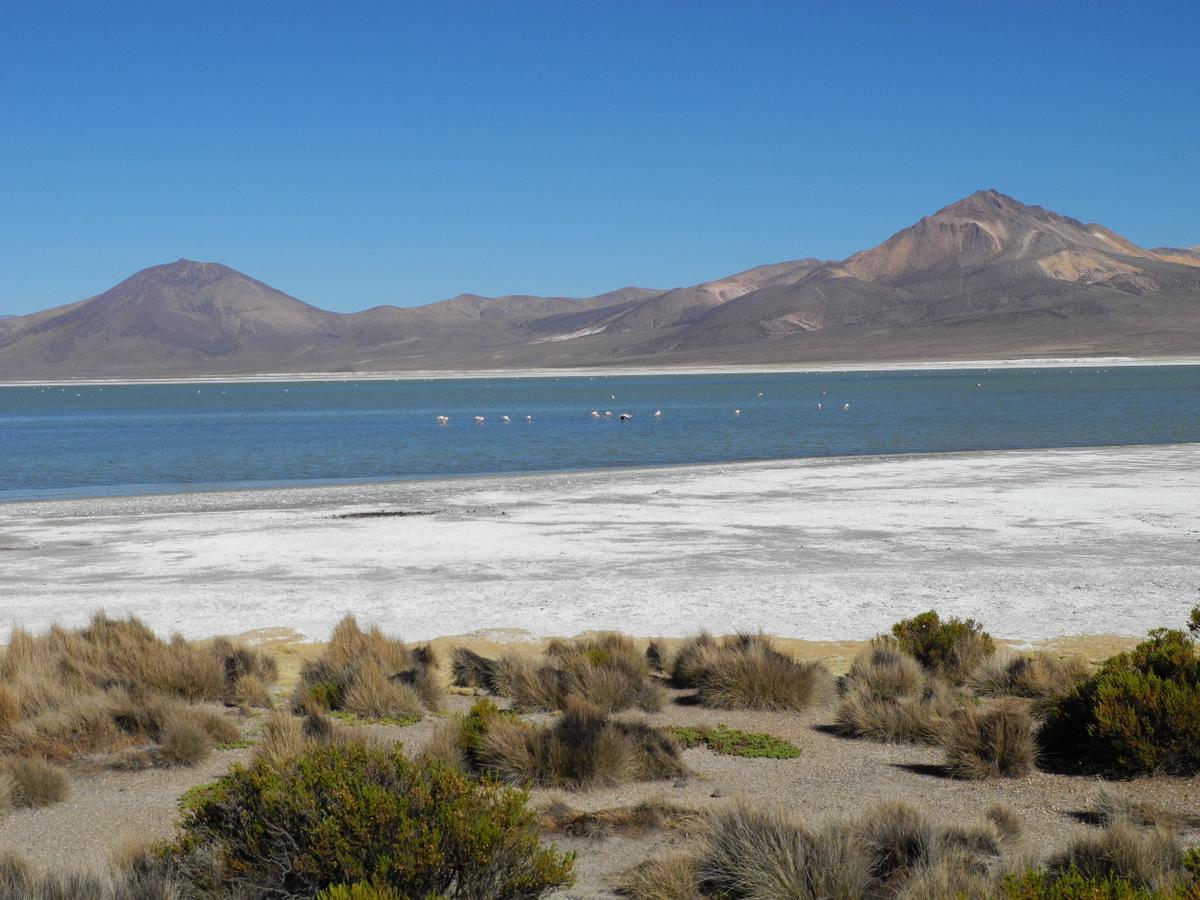 Hostal Vientos Del Altiplano プトレ エクステリア 写真